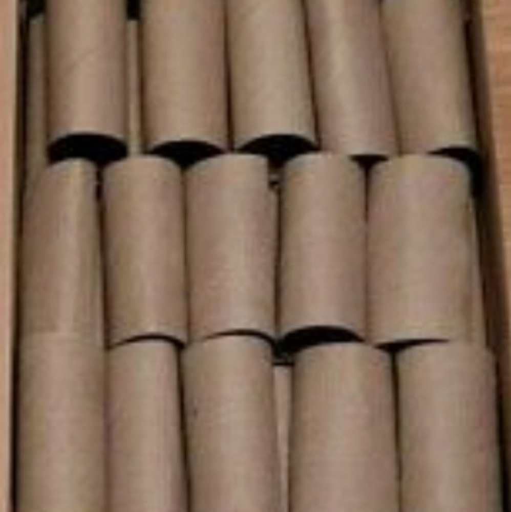20 toilet paper rolls